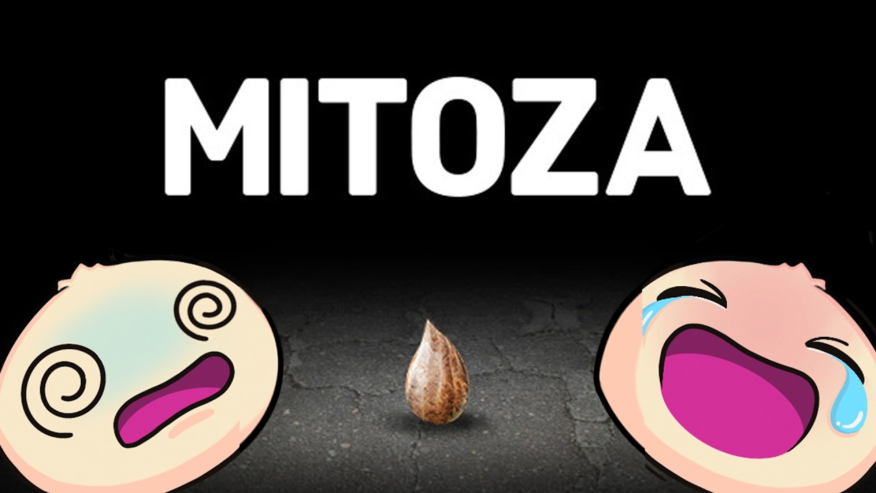 Mitoza: Surreal, Absurd & Free!