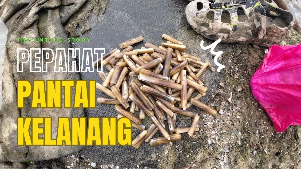 Mencari Pepahat di Pantai Kelanang #Ep 93