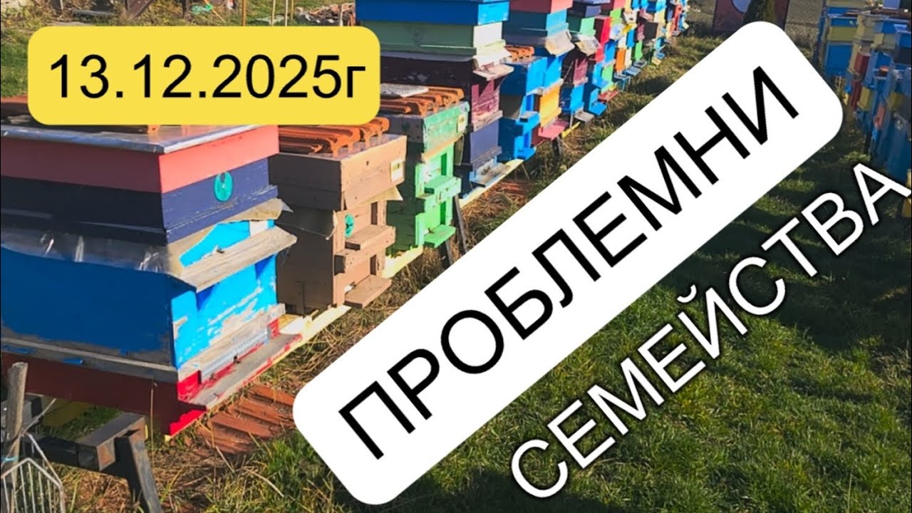 ПРОВЕРКА НА ОСВЕТЕНИТЕ РОЯЦИ.