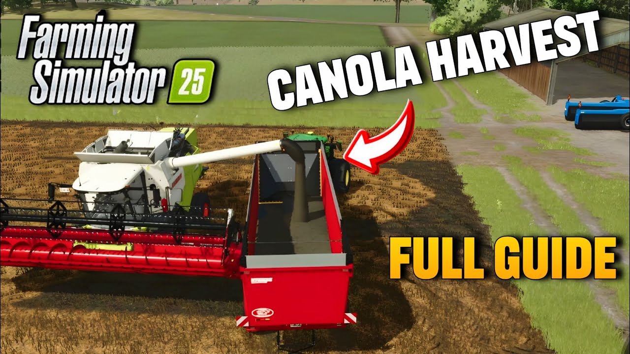 Farming Simulator 25 Canola Harvest Full Guide 2024