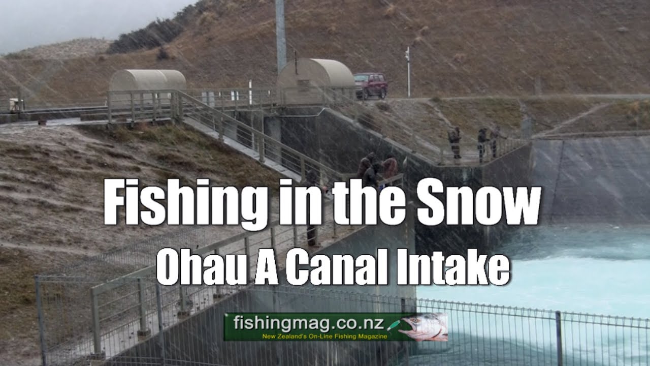 Fishing the Twizel Canals When it's Snowing