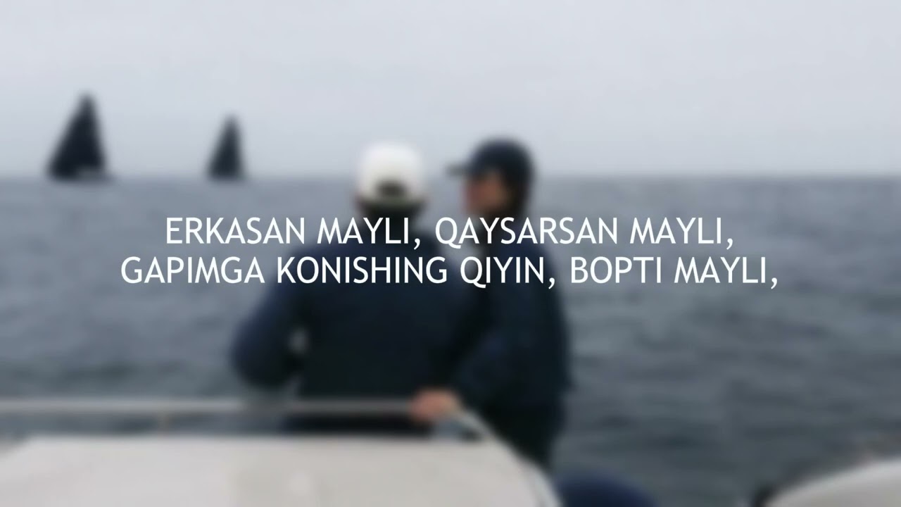 SHOXRUX - JONONIM lyrics | Qo&rsquo;shiq matni | karaoke