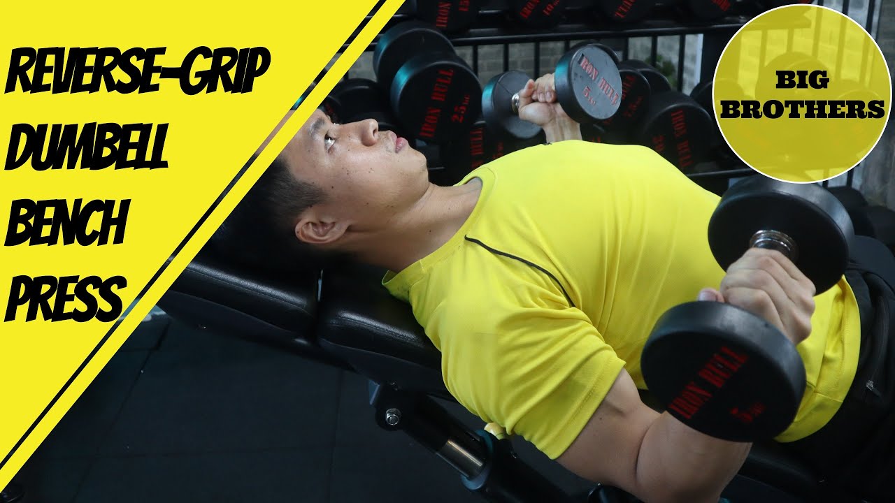 Reverse Grip Dumbbell Bench Press  (hướng dẫn tập) - Reverse Grip Dumbbell Bench Press Tutorial