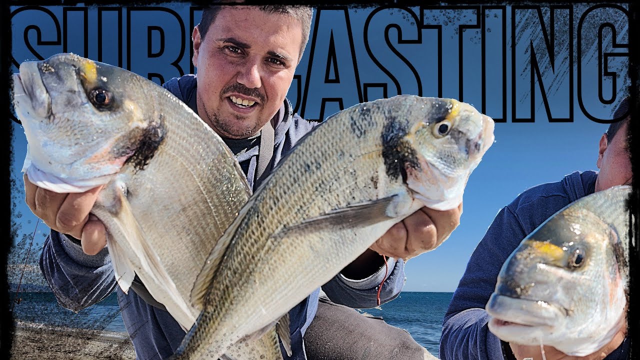 JORNADON SURFCASTING con GRANDES DORADAS