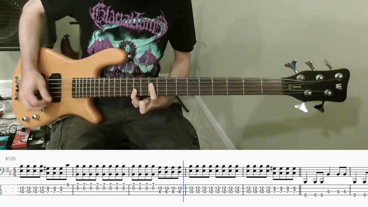 Isis - Carry (bass cover with tab)