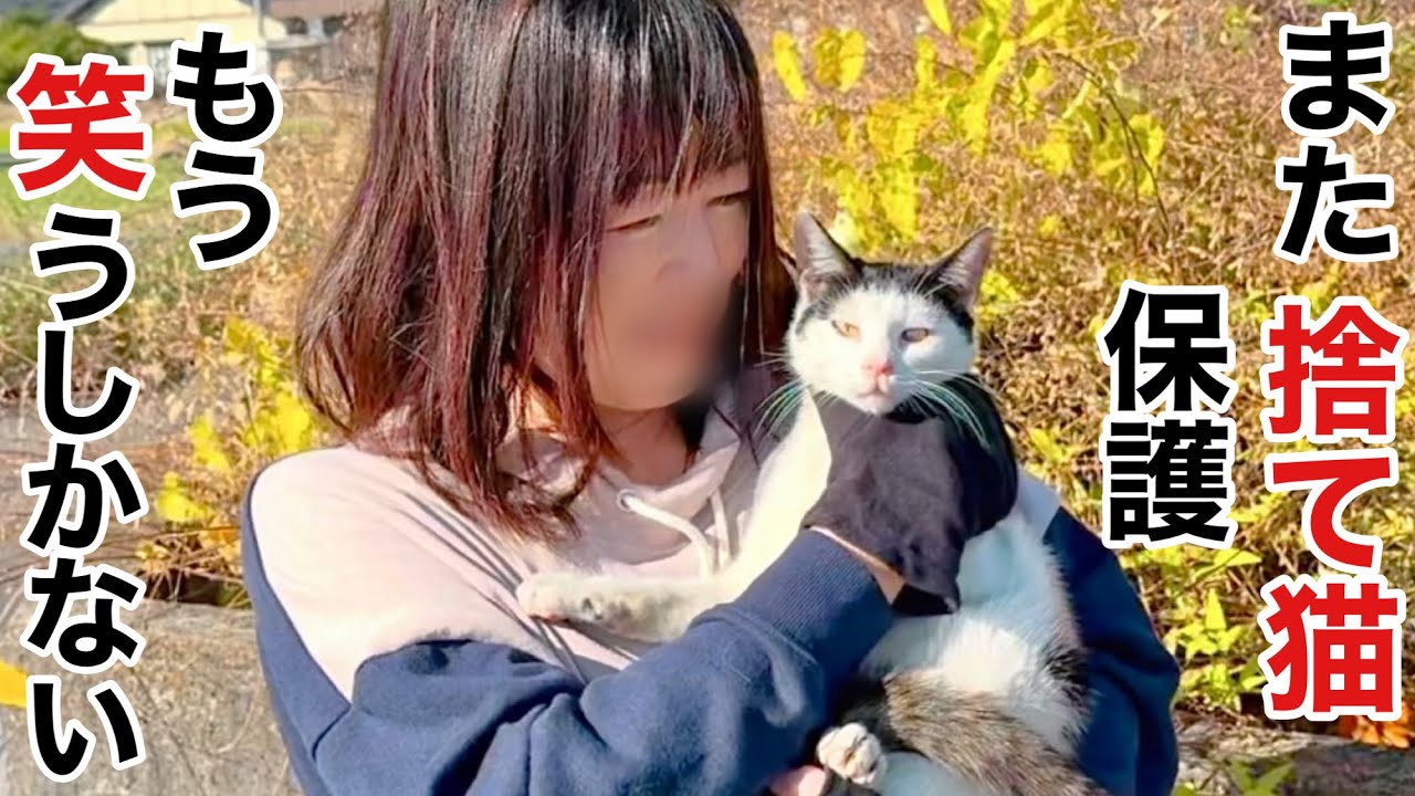 【捨て猫保護】何故か引き寄せられてしまう不思議な縁
