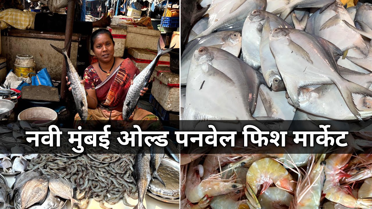 Panvel Fish Market | Fish Market Panvel | Navi Mumbai Panvel Fish Market