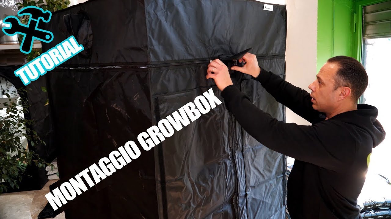 Sub ENG - Montaggio GROWBOX e comparazione con GROWBOX LITE