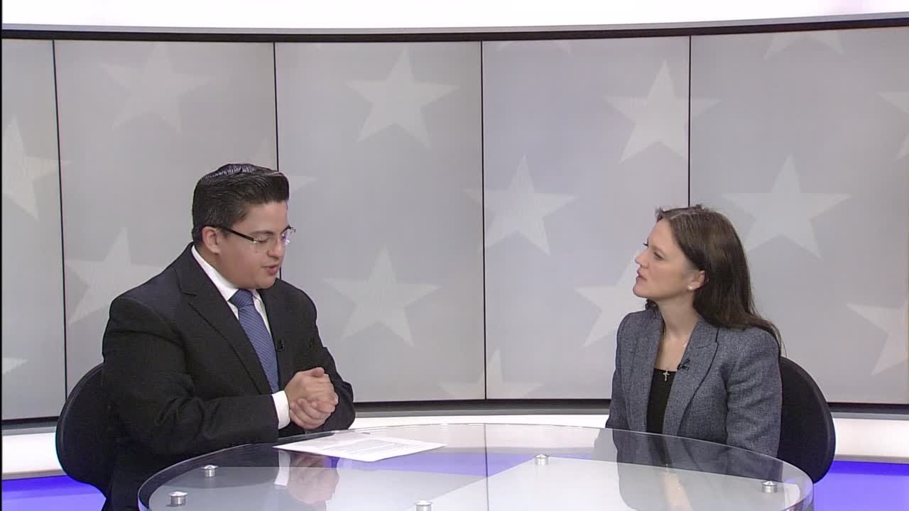 17th Judicial Circuit Race: Erin Hannigan's Legal Resume