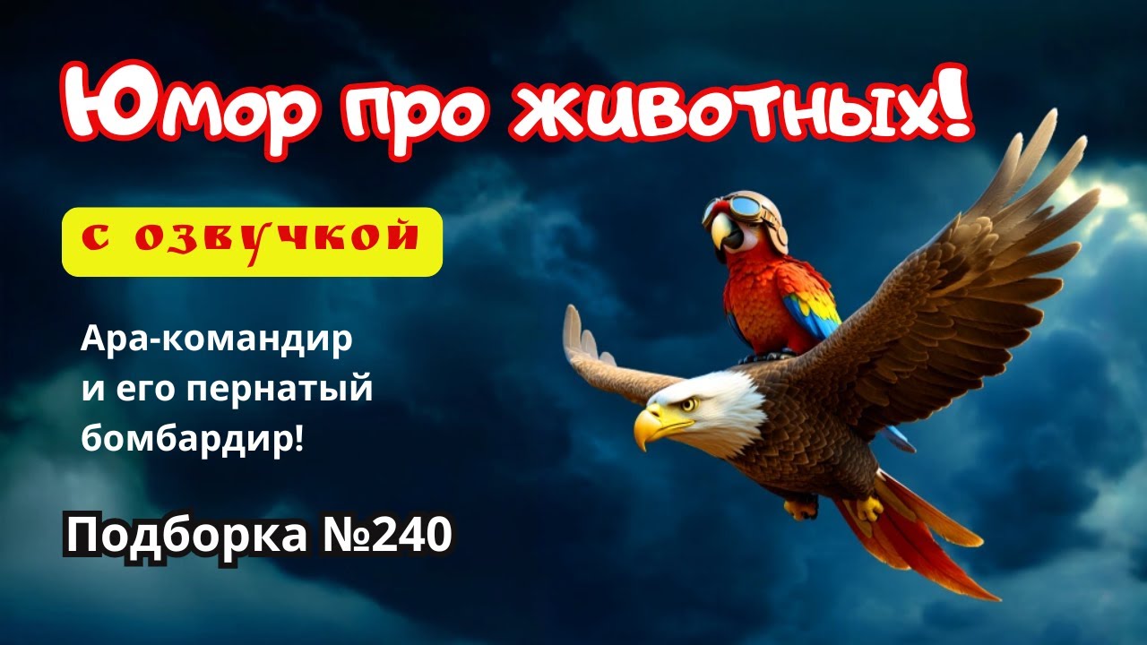 Подборка приколов про животных! №240