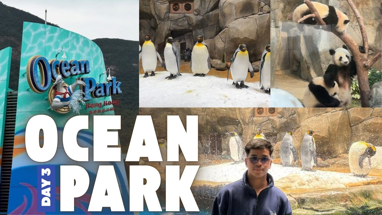 Day 3: Ocean Park HK ✨🇭🇰