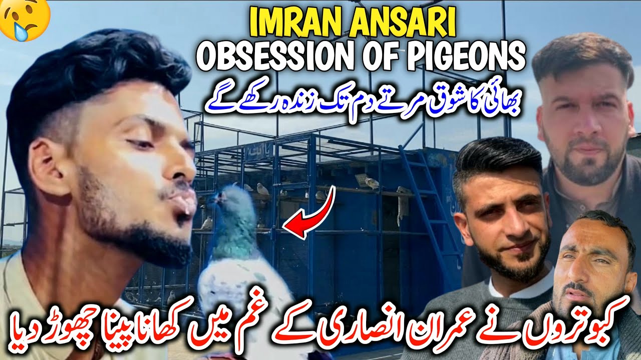 Imran Ansari Obsession Of Pigeons || Kabotaron Ne Gham Main Khana Pina Chor Diya