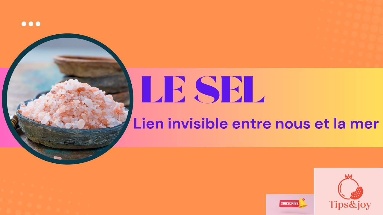 Le sel, le lien invisible entre nous et la mer
