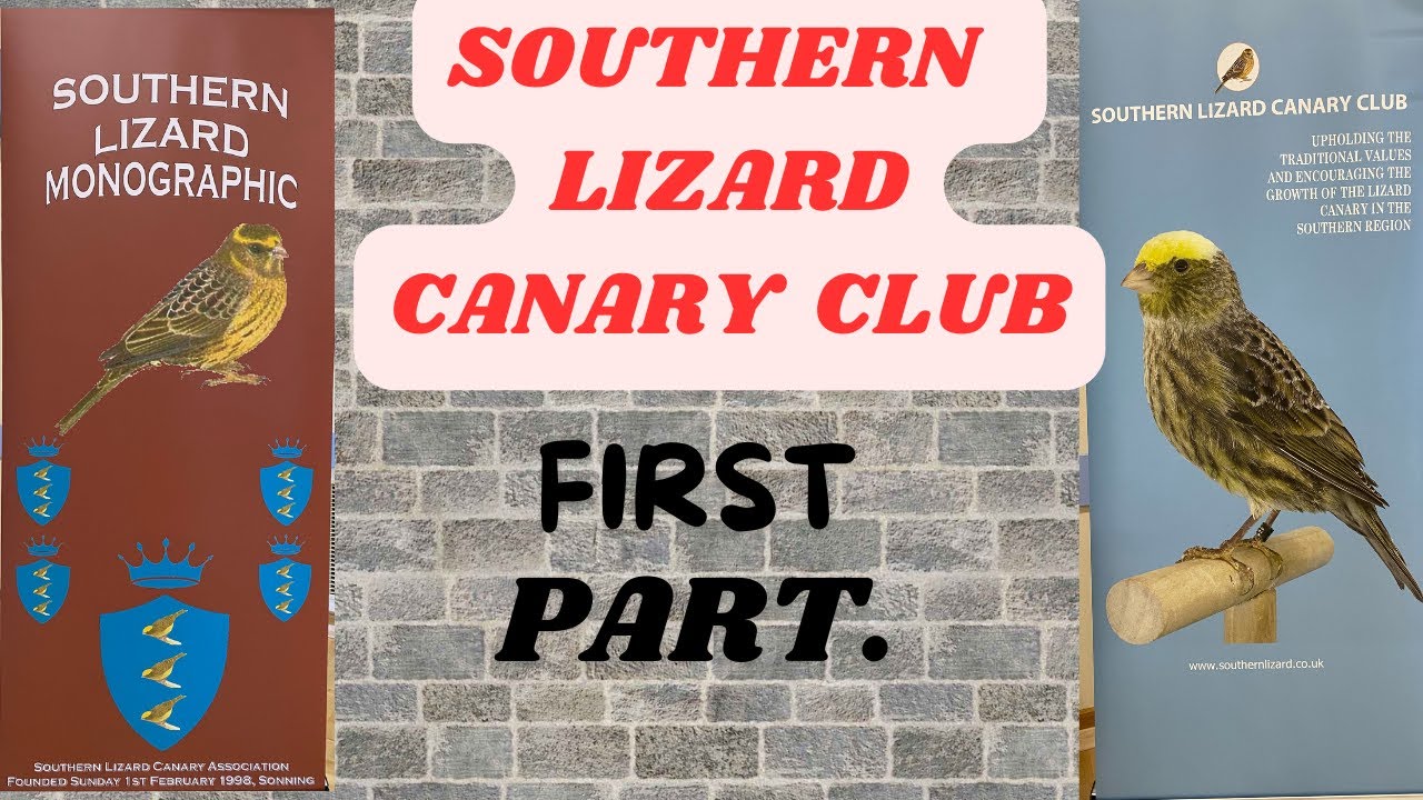 SOUTHERN LIZARD CANARY CLUB  FIRST PART.
