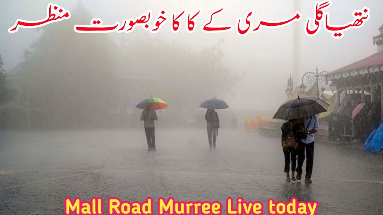 Murree Live today | #murree weather today | nathia gali today | Islamabad to murree #2025
