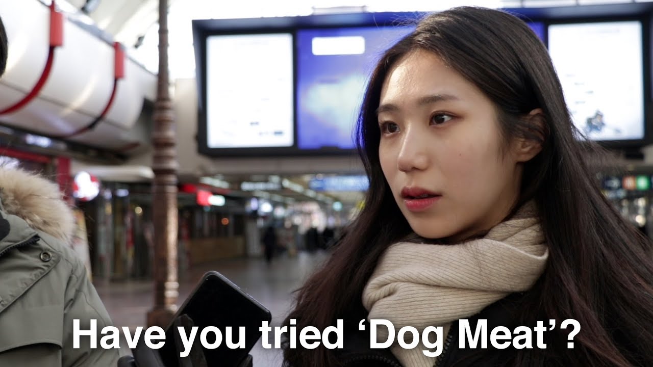 What Koreans Think of Eating Dog Meat?