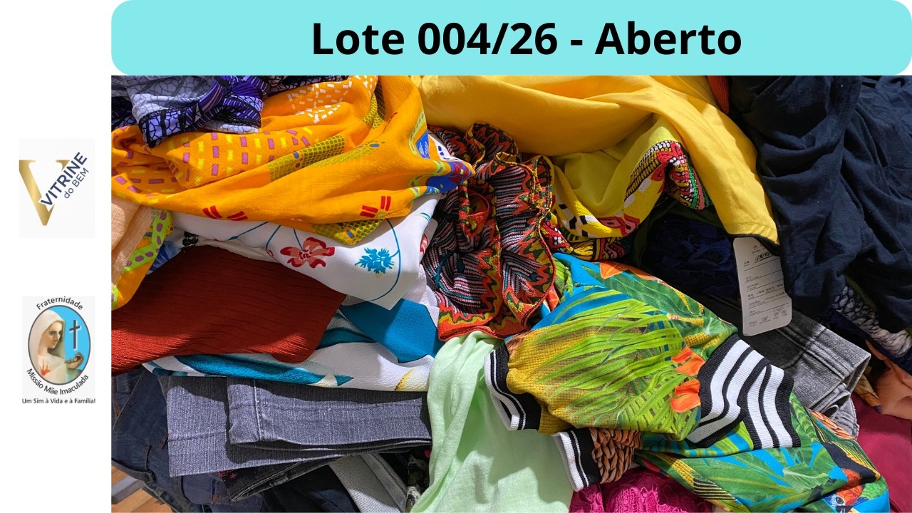 LOTE ABERTO 004/26. Você vê todas as peças e não compra no “escuro” . 40 peças =  200,00