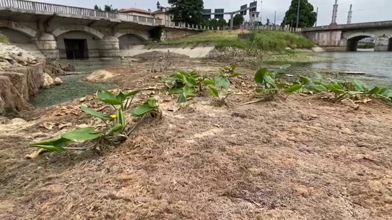 Siccit&agrave;, il Comune di Padova spegne le fontane.Ecco la citt&agrave; 