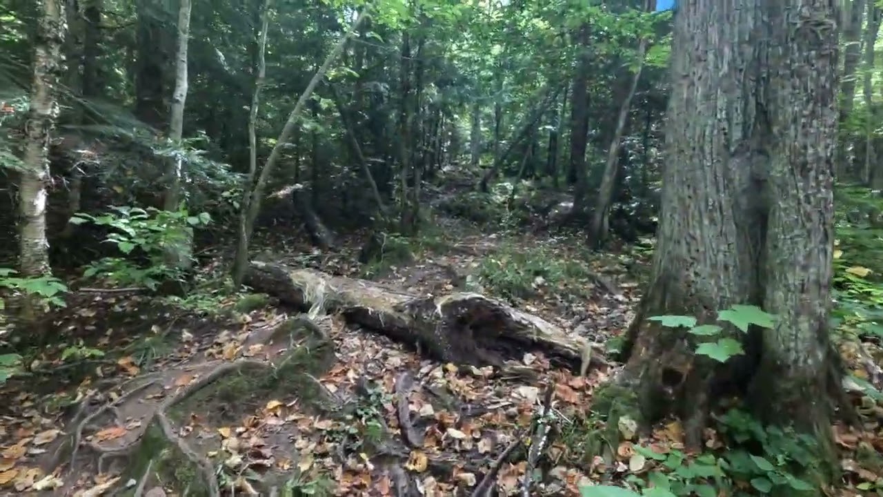 Hike With Me Ep 3