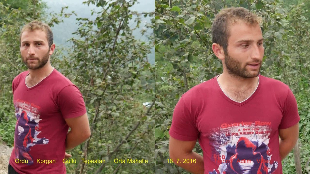 Ordu  korgan   güllü  tepealan    orta   mahallesi     18. 7 . 2016