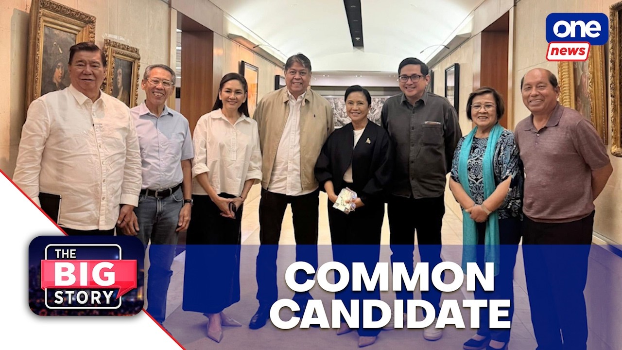 Non-Duterte forces should pick one common candidate before the year ends — Drilon