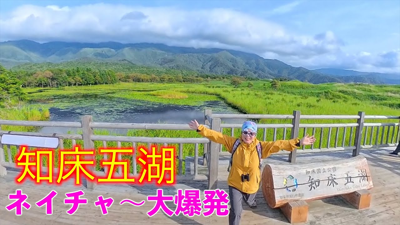 知床五湖行ったらネイチャ〜が大爆発した