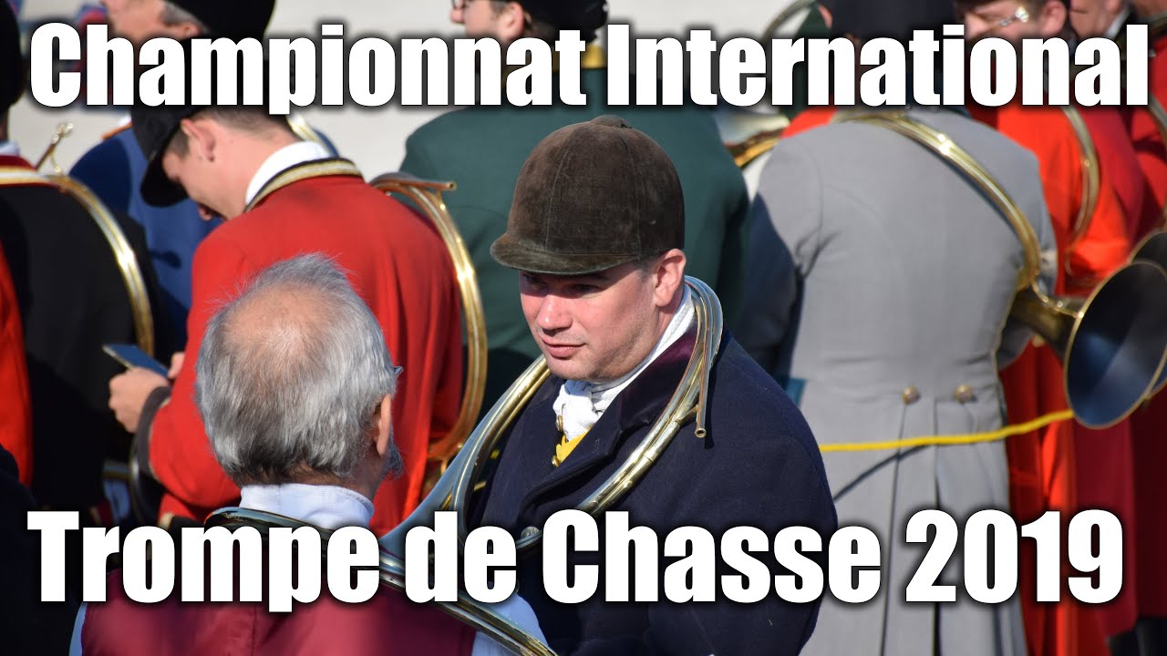 LES PLUS BELLES TROMPES DE CHASSE DE FRANCE À ÉCOUTER !