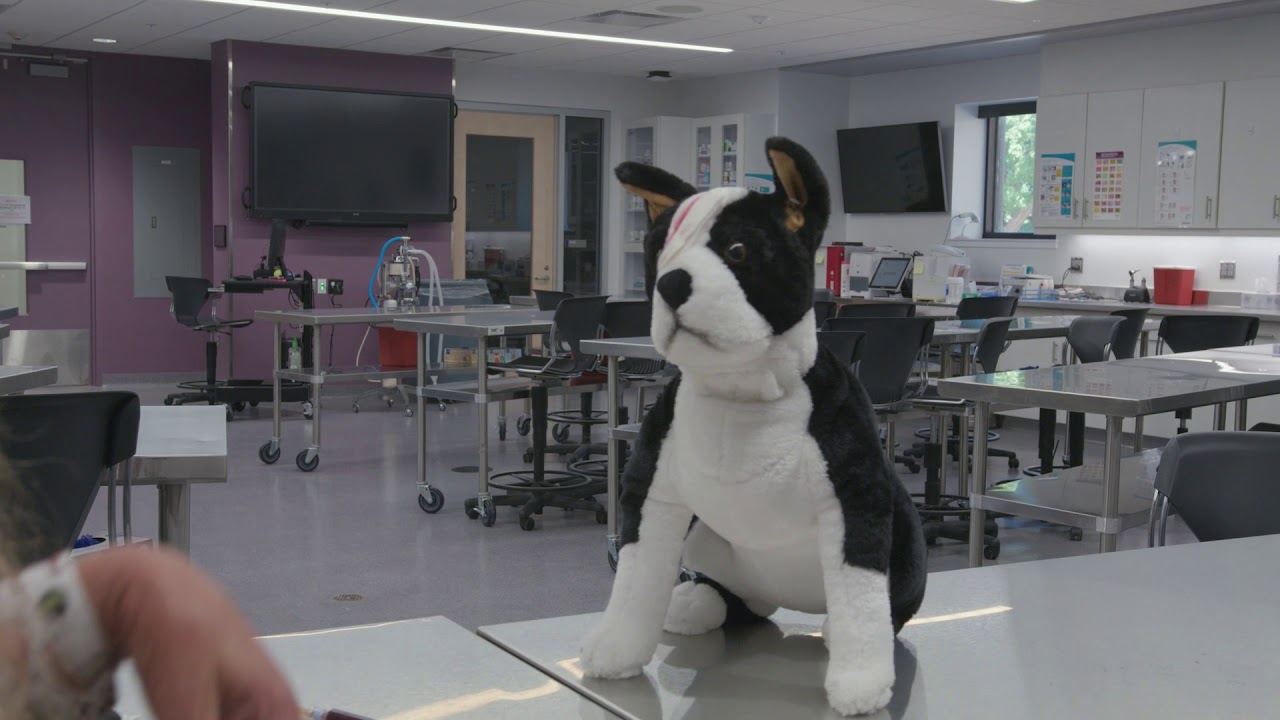 K-State Vet Med Virtual Tour - Clinical Skills