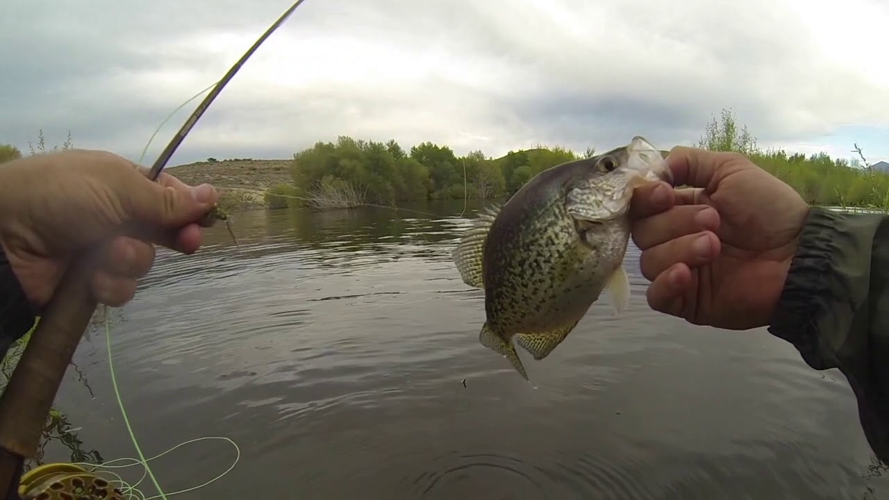 Ultralight fly fishing Crappie with 0 weight