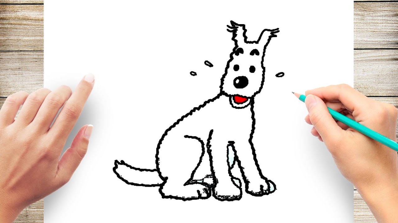 How to Draw Snowy From Tintin