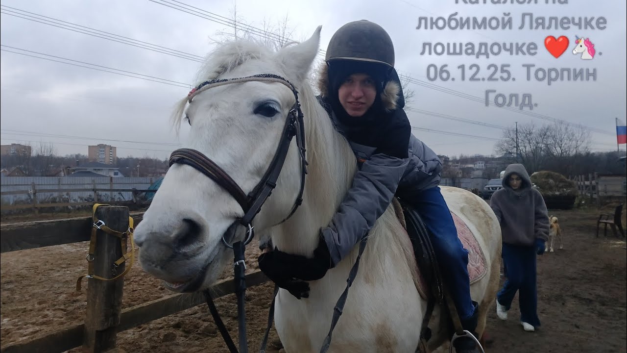Сбылась мечта. Конная прогулка на Ляле лошадке❤️🦄 . Конюшня Торпин Голд. 06.12.25.