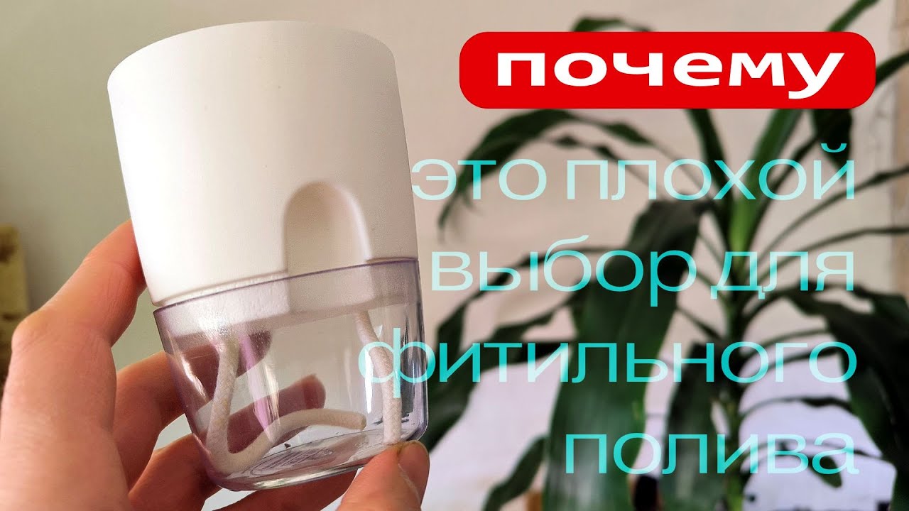 Эти кашпо - плохой выбор для фитильного полива сенполий