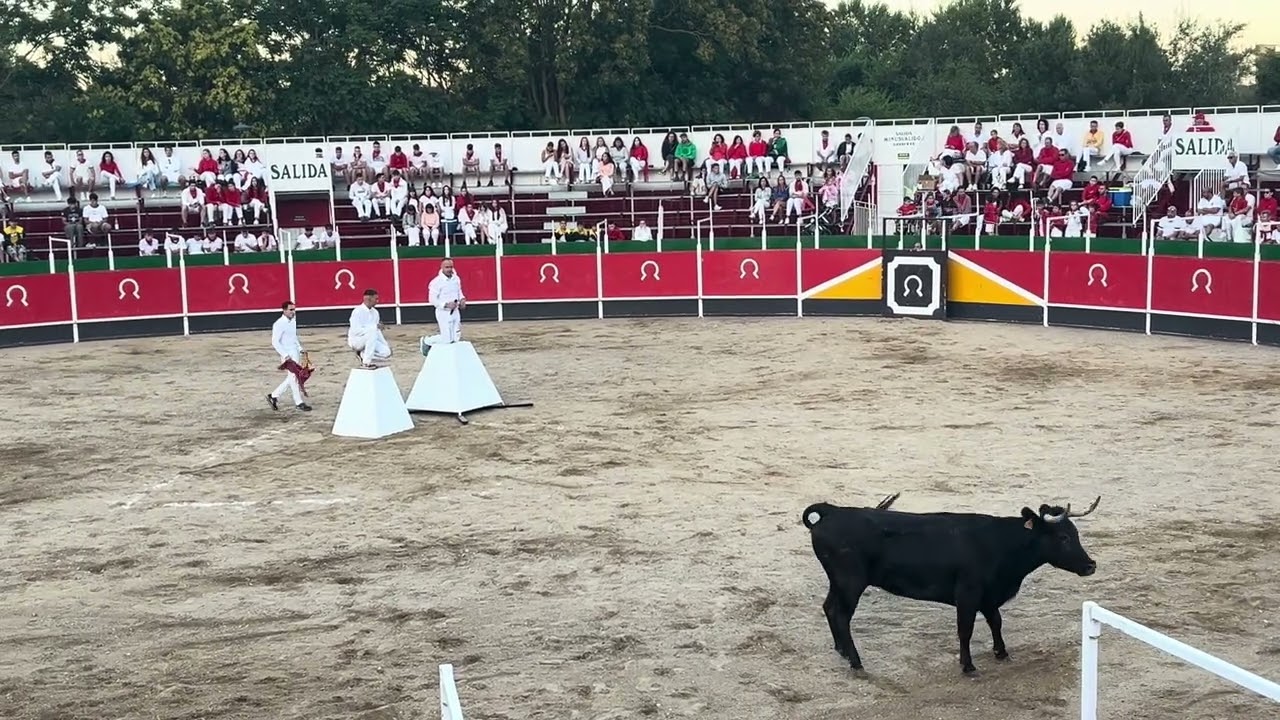 Casta aragonesa al Tancredo con Javi Hernándiz.