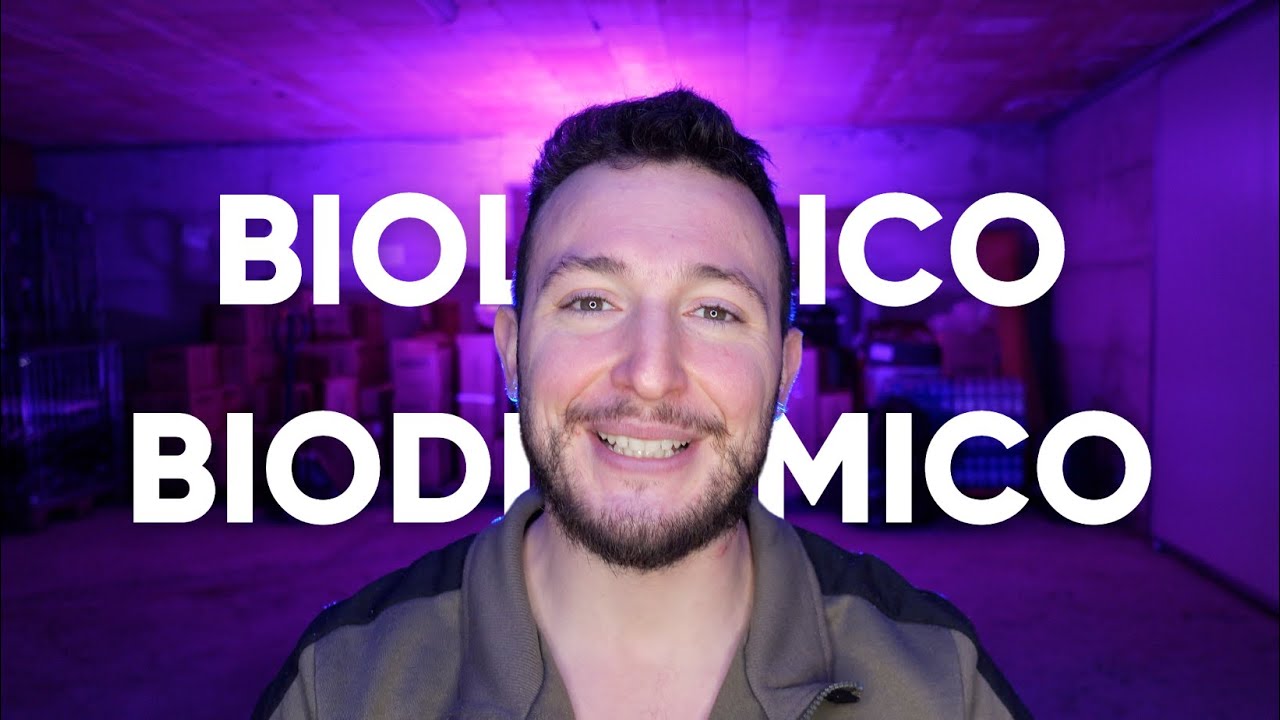 Le ultime tendenze nella produzione di vino biologico e biodinamico: cosa c'è da sapere