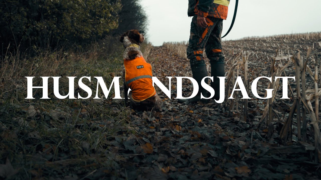 Husmandsjagt | Jagt med stående hunde i Danmark