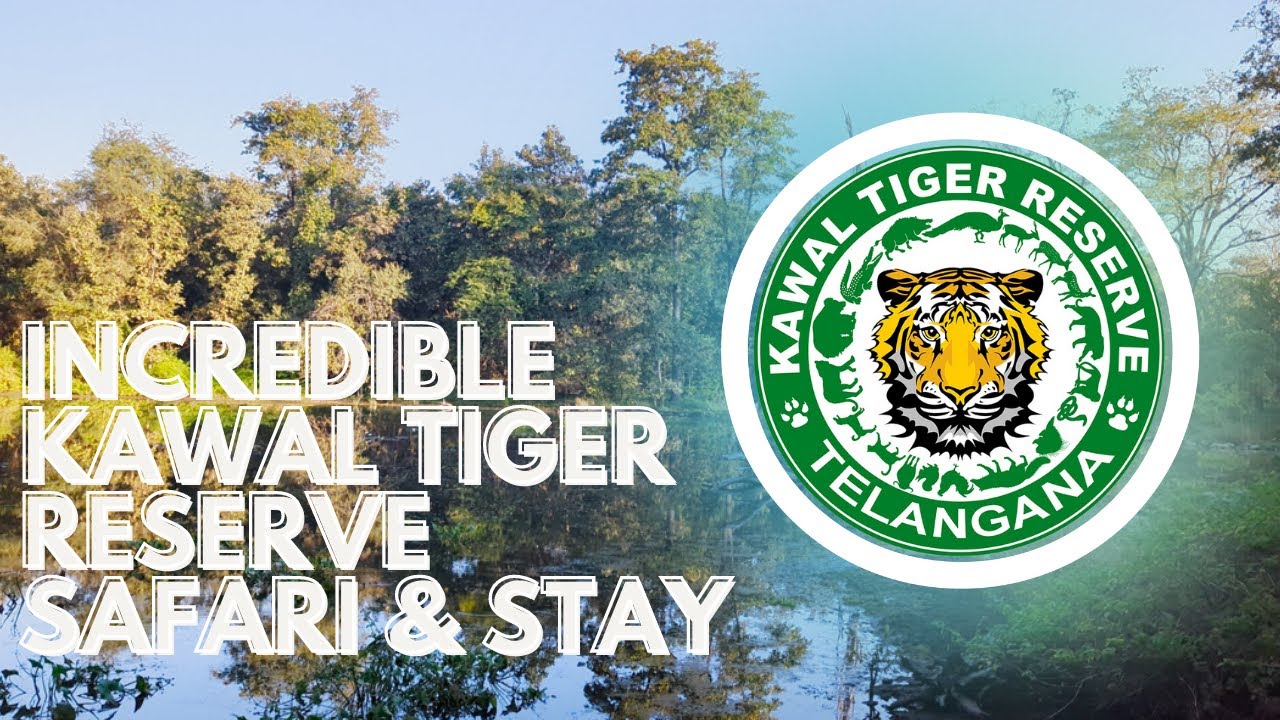 Incredible Tiger Safari at Kawal Tiger Reserve Forest in Jannararam, Adilabad | Watch HD Video