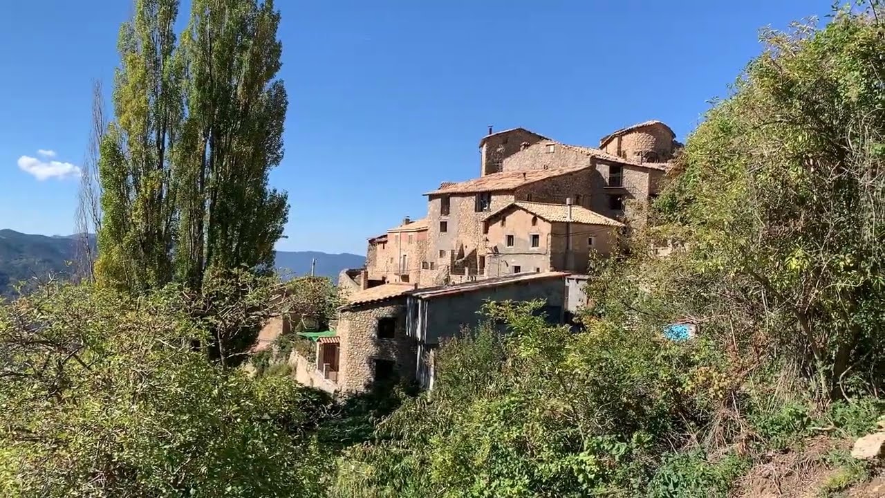 L'Alzina d'Aliny&agrave;