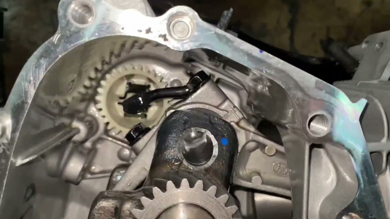Real Tree Mini Bike 200 Governor Gear And Carb Governor Revomal