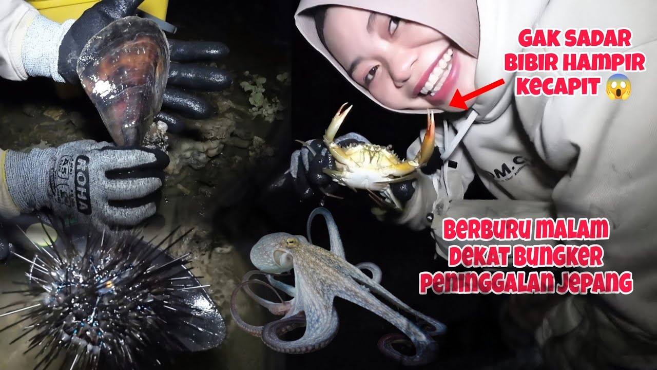 Bikin lupa waktu‼️Dapat semua target berburu malam dekat bungker peninggalan Jepang