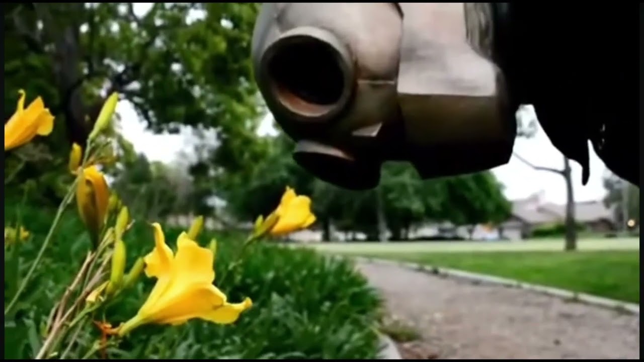 Los Retros - My Damn Dog Ran Away (Video)