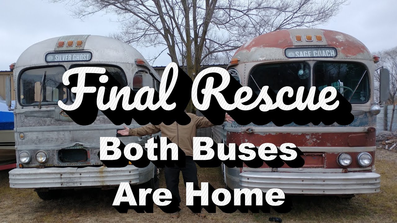 Greyhound Bus Rescue - Making it home with the PreWar