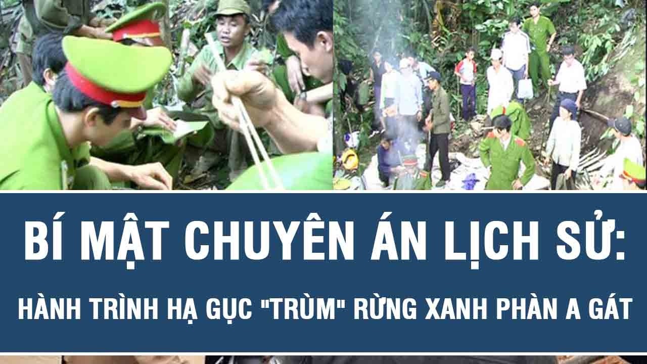 Bí Mật Chuyên Án Lịch Sử: Hành Trình Hạ Gục 