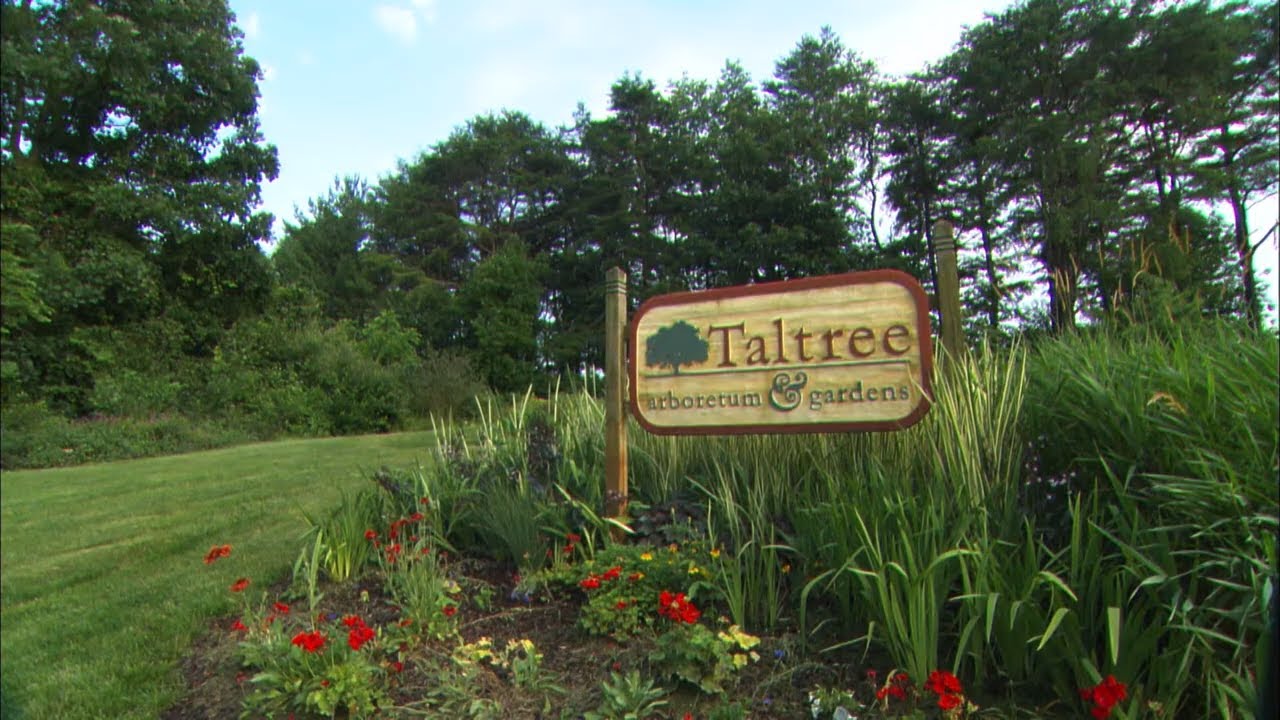 Taltree Arboretum - Tracks Ahead (S9|E7)