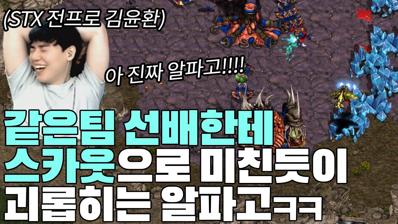 같은 팀 선배에게 스카웃의 무서움을 보여주는 알파고ㅋㅋ(피해자 시점)