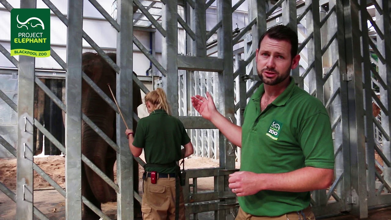 Project Elephant - Health Checks