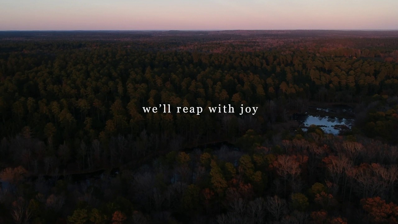 Andrew Word | Fields (lyric video)