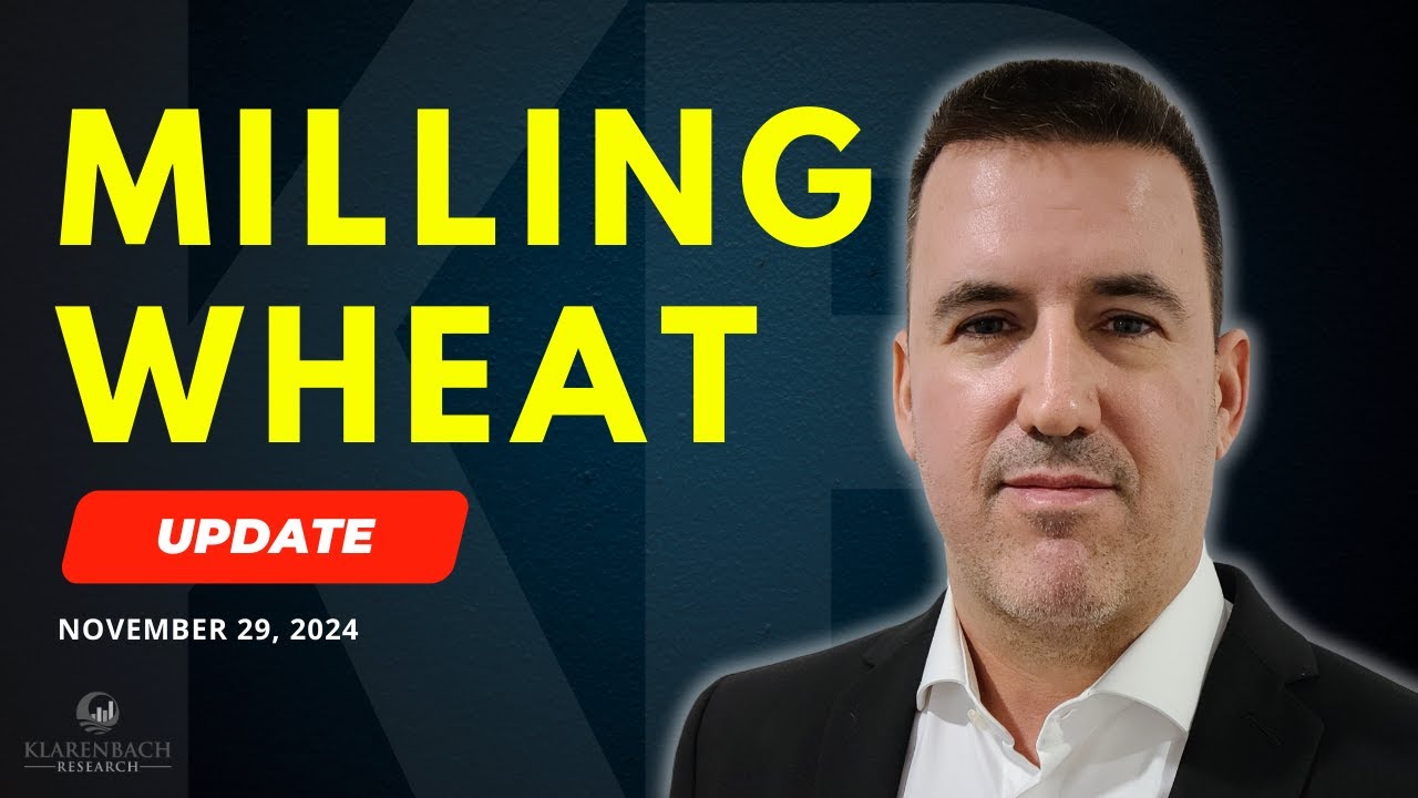 European Milling Wheat Futures Update | November 29, 2024 | Klarenbach Research