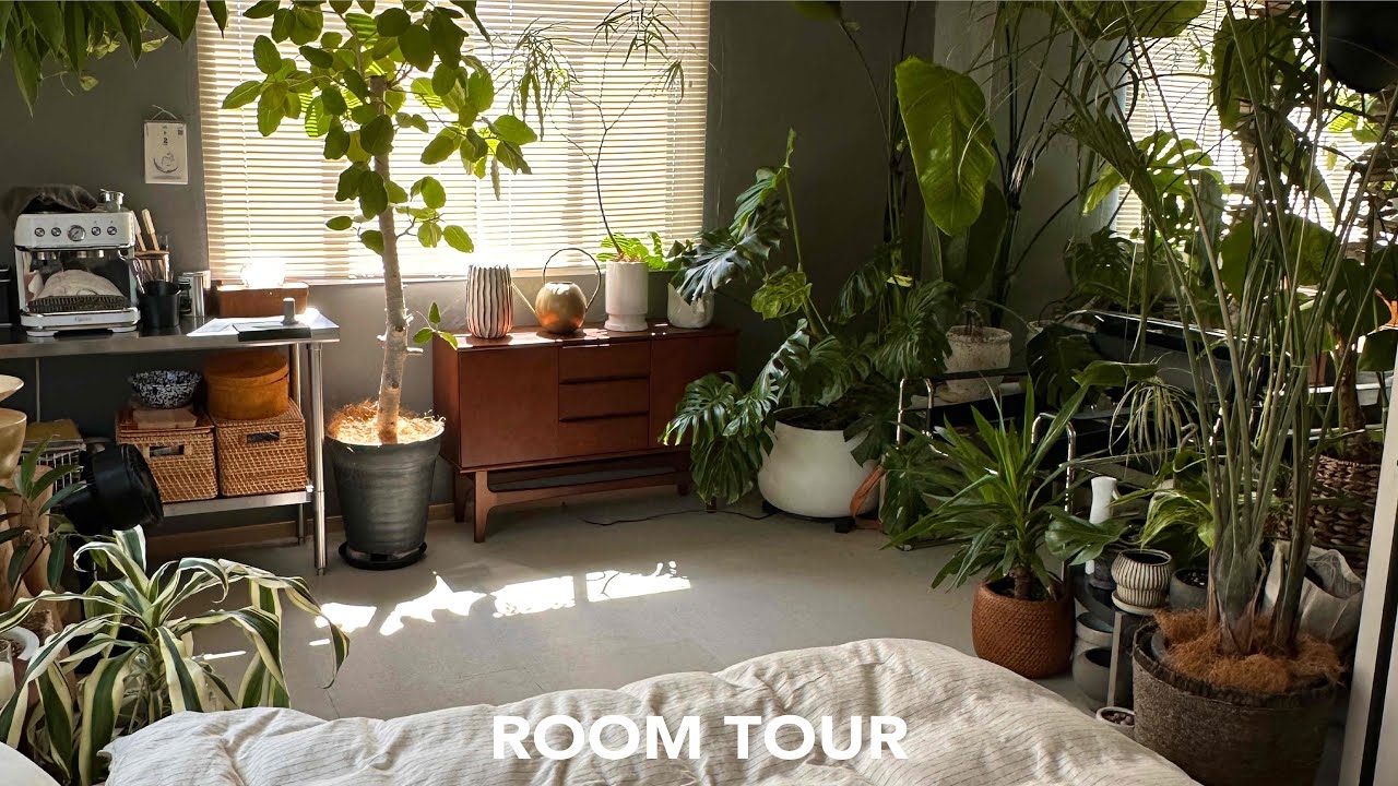[ROOM TOUR] 9畳. 観葉植物に囲まれたジャングル暮らし/ DIYとラテ日記