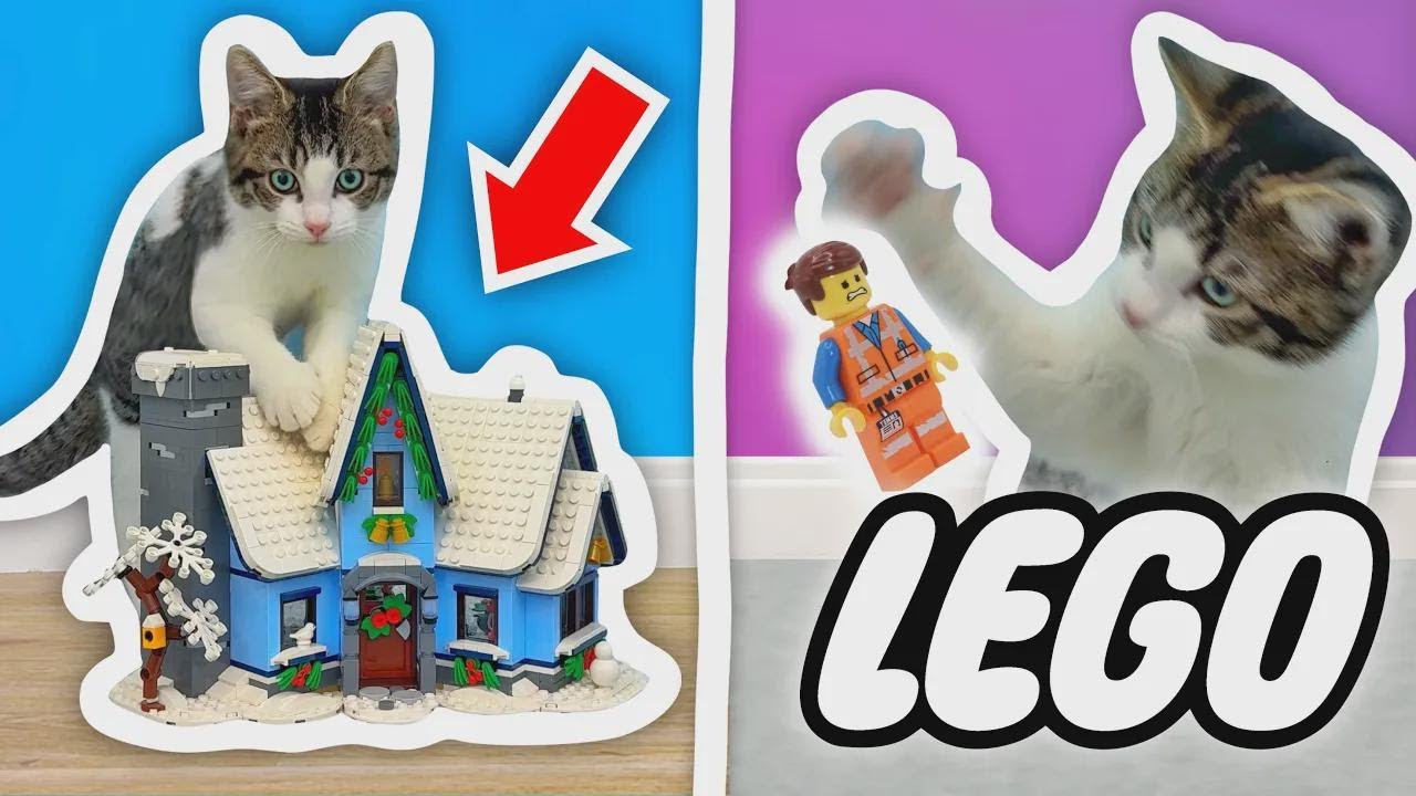 Filhote de gato apronta todas na vila de LEGO!