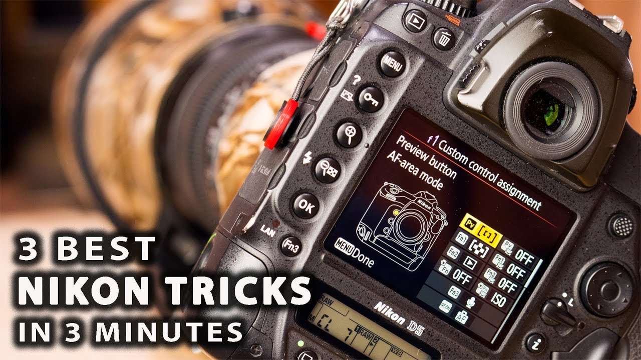 3 BEST NIKON TRICKS IN 3 MINUTES | best custom settings for wildlife photography [photo friday]